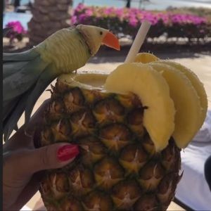 Meet your Posher, Jess